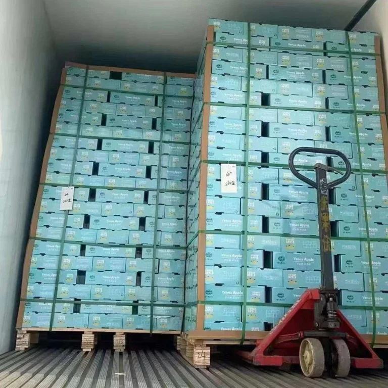 Protective packaging materials and factory overview